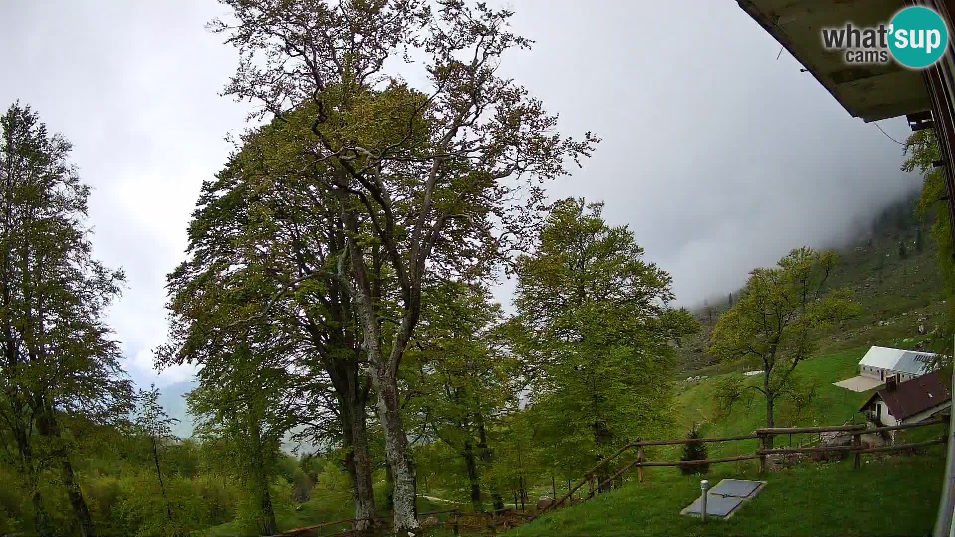Planina Razor Mountain Hut live cam (1315) | view to Tolminski Migovec