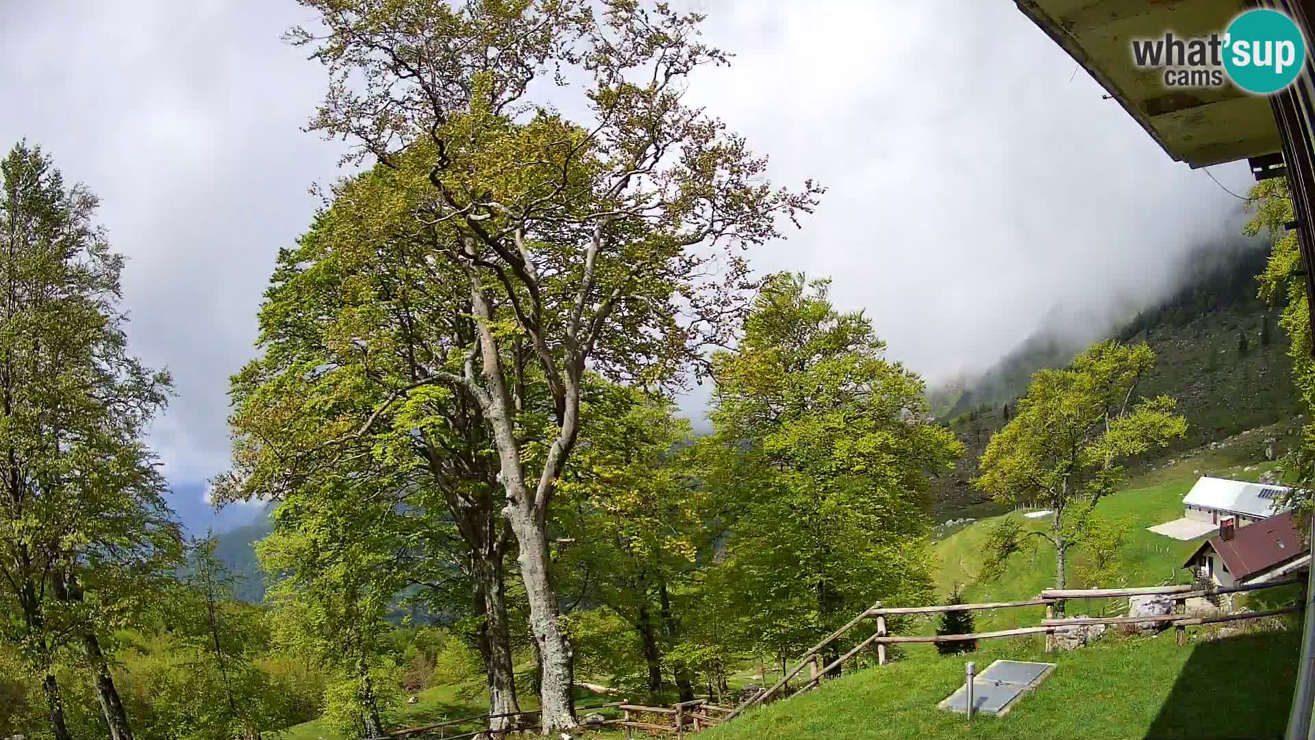 Planina Razor Mountain Hut live cam (1315) | view to Tolminski Migovec