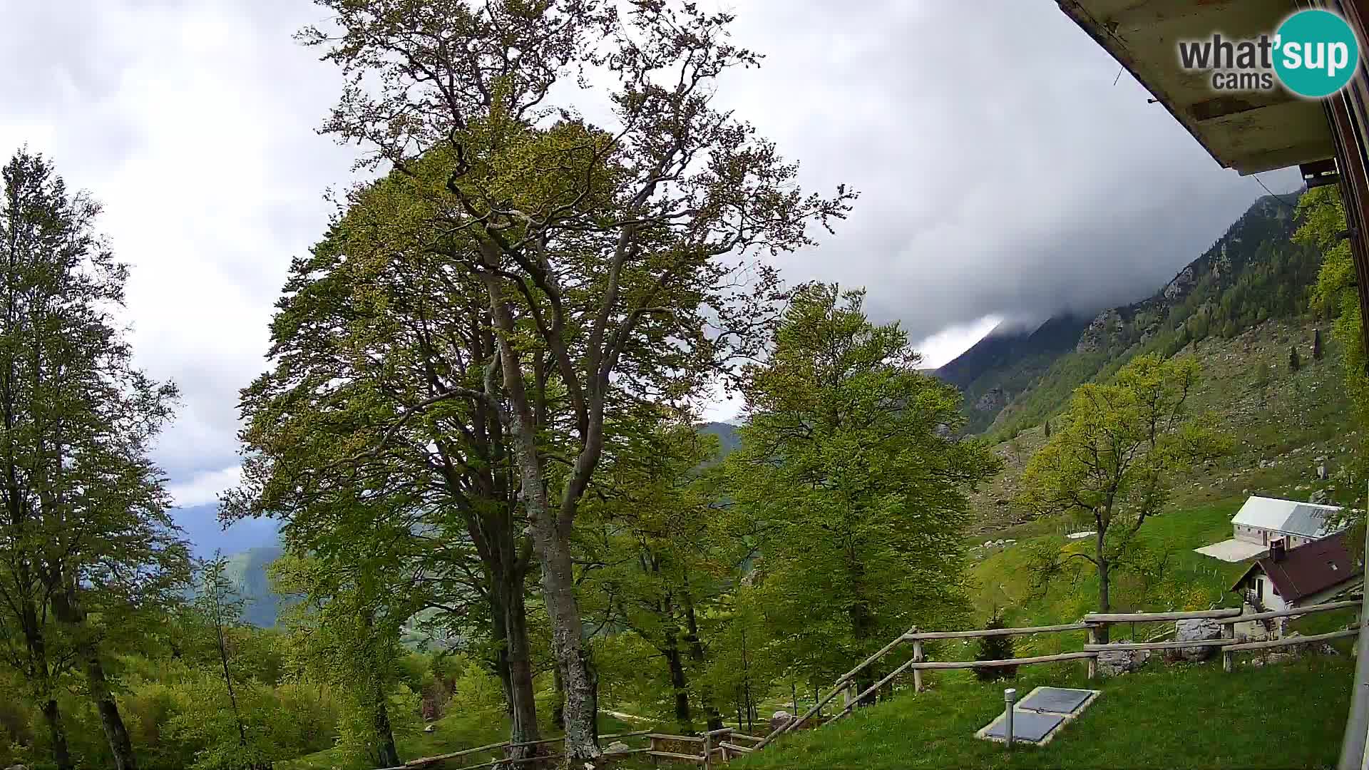 Baita di montagna Planina Razor webcam (1315) | vista su Tolminski Migovec