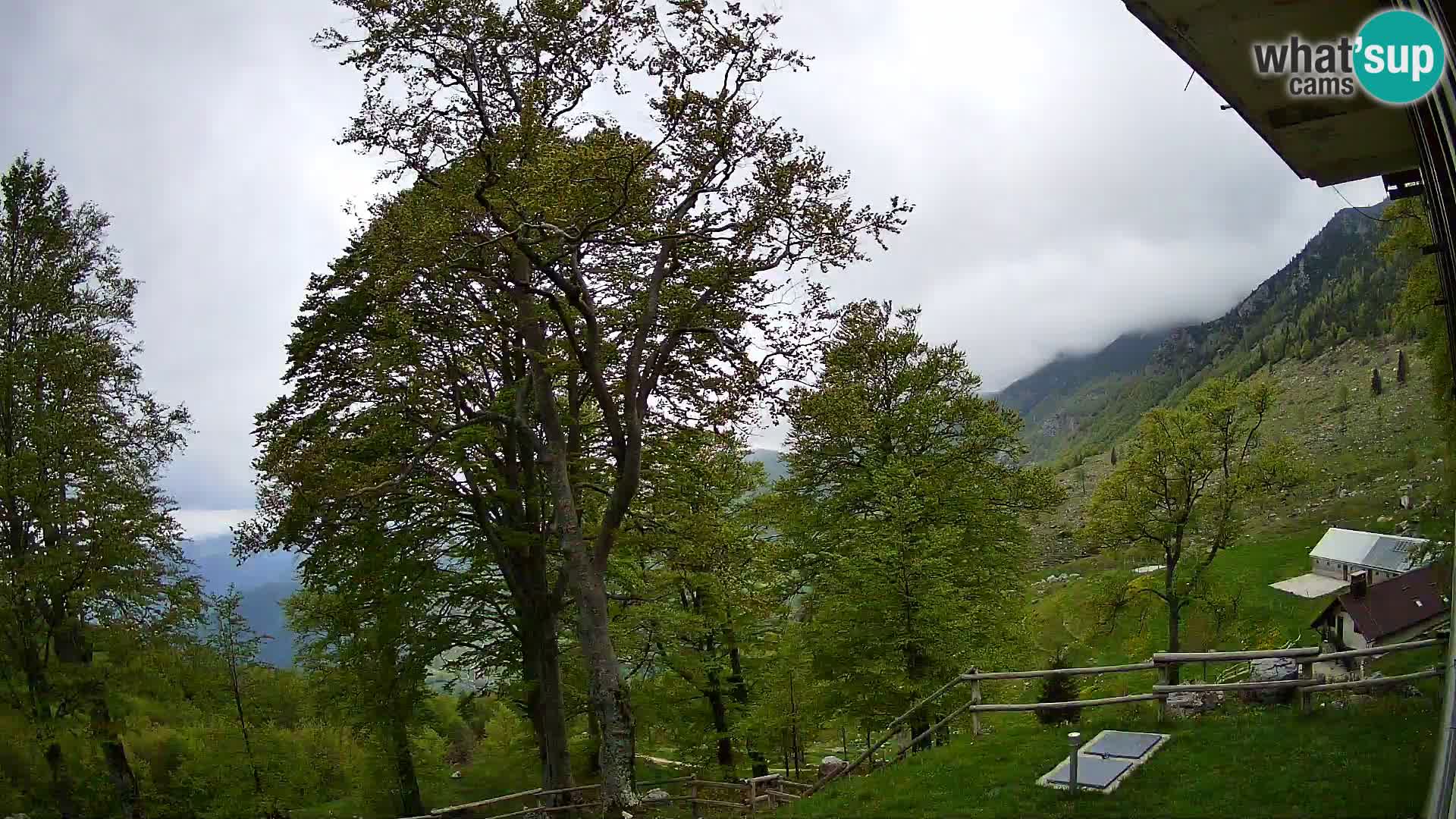 Planina Razor Mountain Hut live cam (1315) | view to Tolminski Migovec