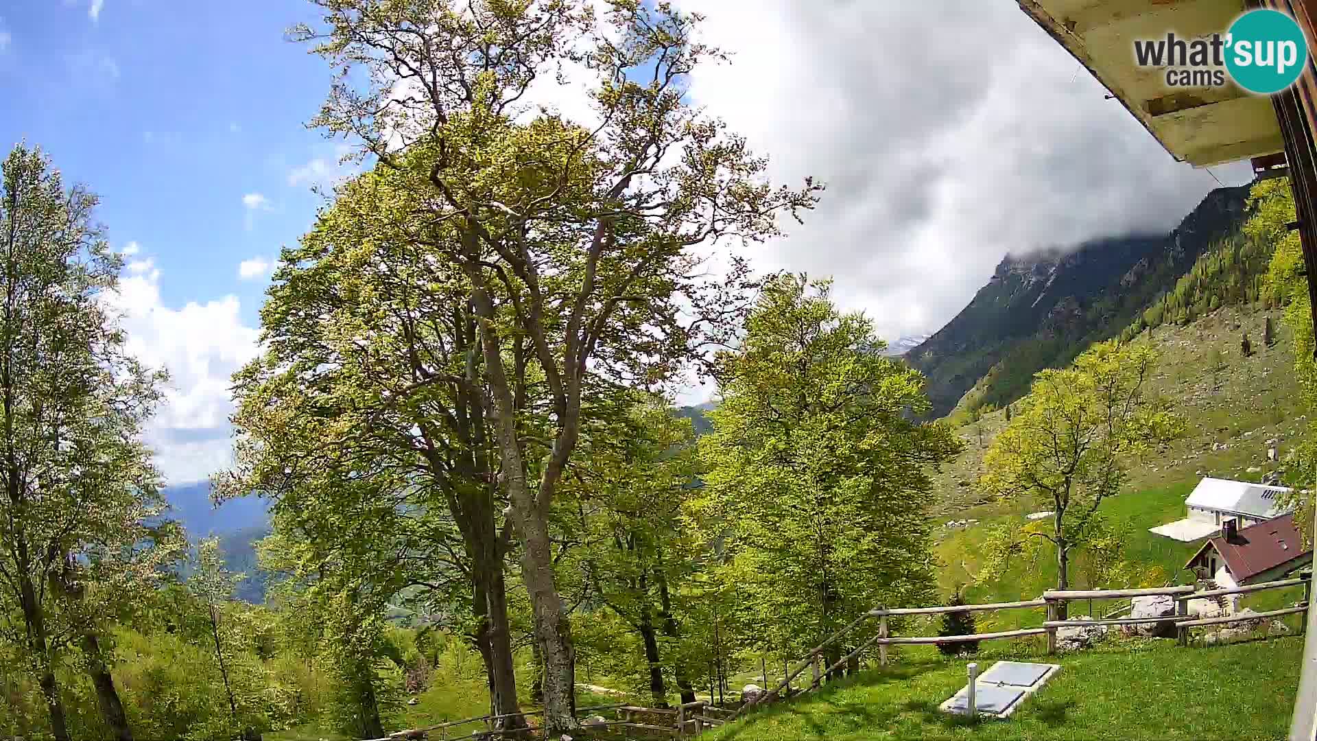 Planina Razor Mountain Hut live cam (1315) | view to Tolminski Migovec
