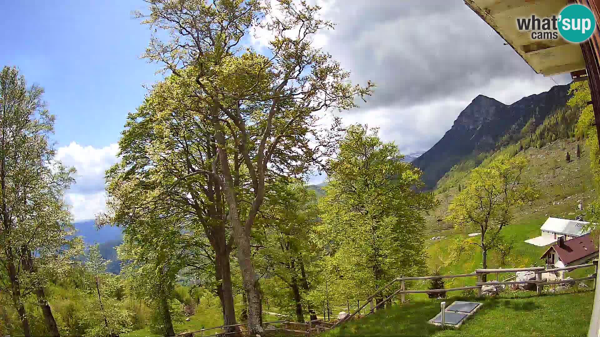 Planina Razor Mountain Hut live cam (1315) | view to Tolminski Migovec
