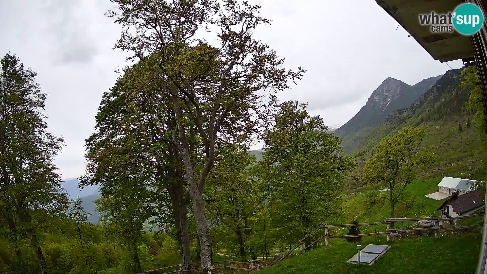 Planina Razor Bergütte Webcam (1315) | Blick auf Tolminski Migovec