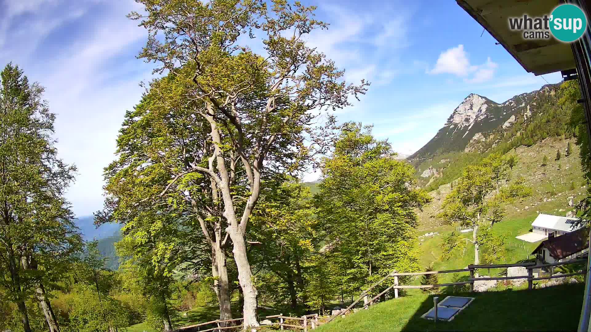 Refuge de la montagne Planina Razor caméra en direct (1315) | vue sur Tolminski Migovec