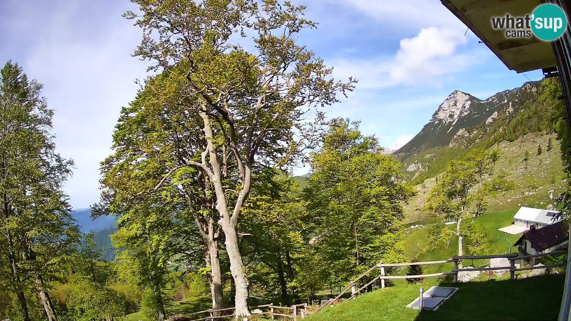 Cámara en vivo de la cabaña de montaña Planina Razor (1315) | vista hacia Tolminski Migovec