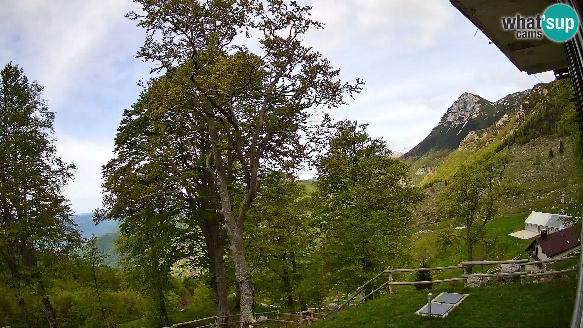 Planina Razor Bergütte Webcam (1315) | Blick auf Tolminski Migovec