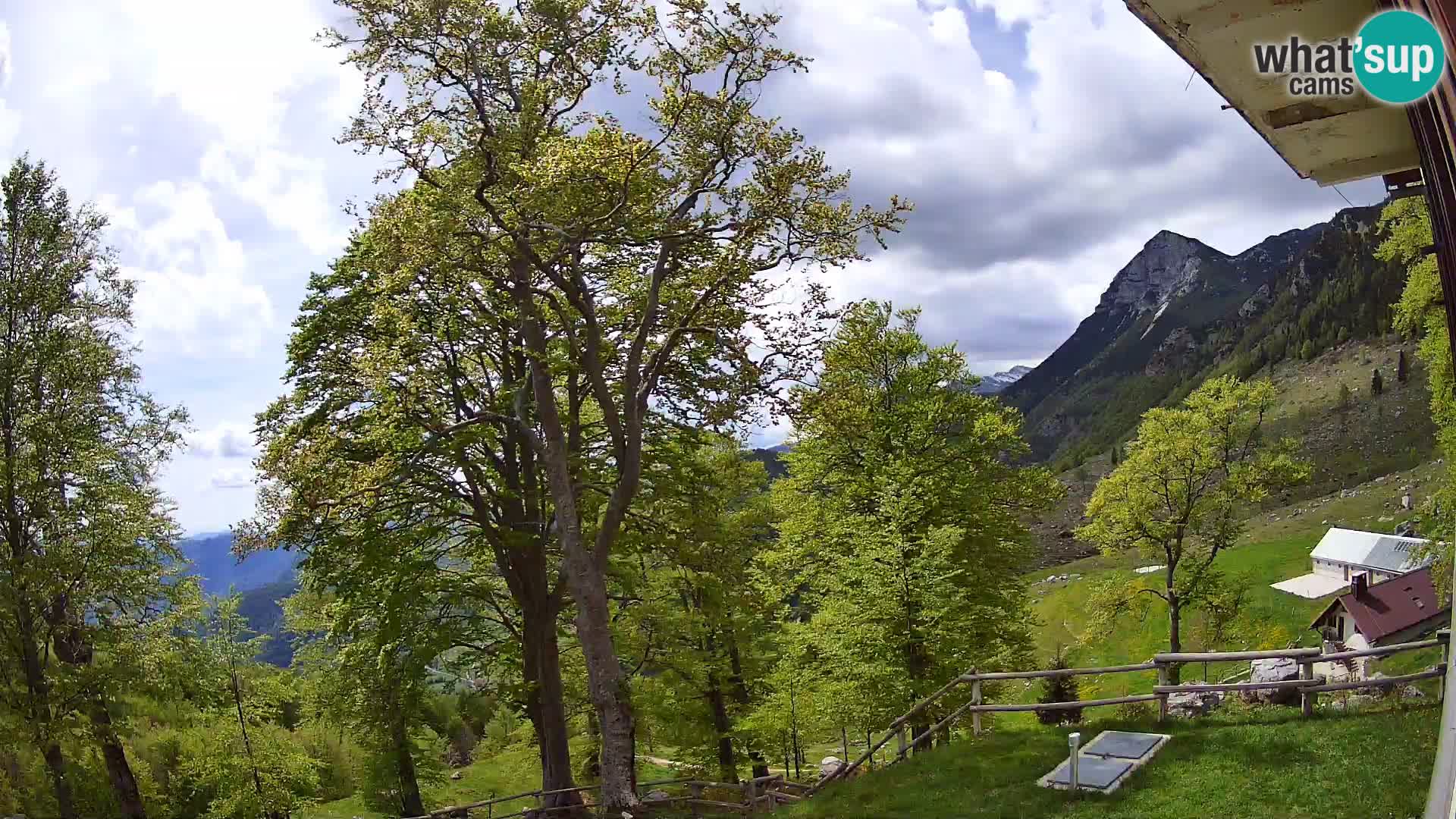Baita di montagna Planina Razor webcam (1315) | vista su Tolminski Migovec