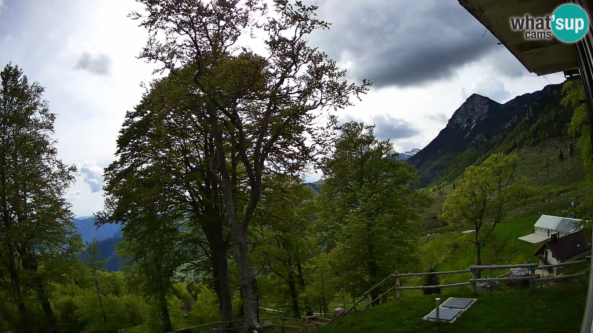 Baita di montagna Planina Razor webcam (1315) | vista su Tolminski Migovec