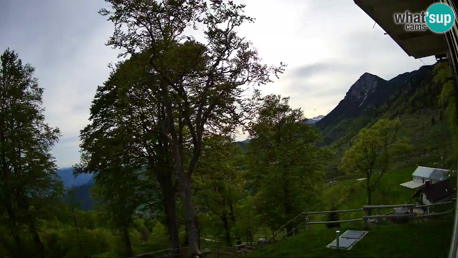 Planina Razor Bergütte Webcam (1315) | Blick auf Tolminski Migovec