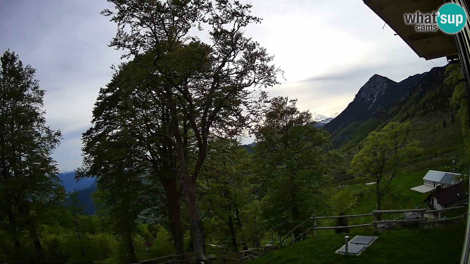 Refuge de la montagne Planina Razor caméra en direct (1315) | vue sur Tolminski Migovec