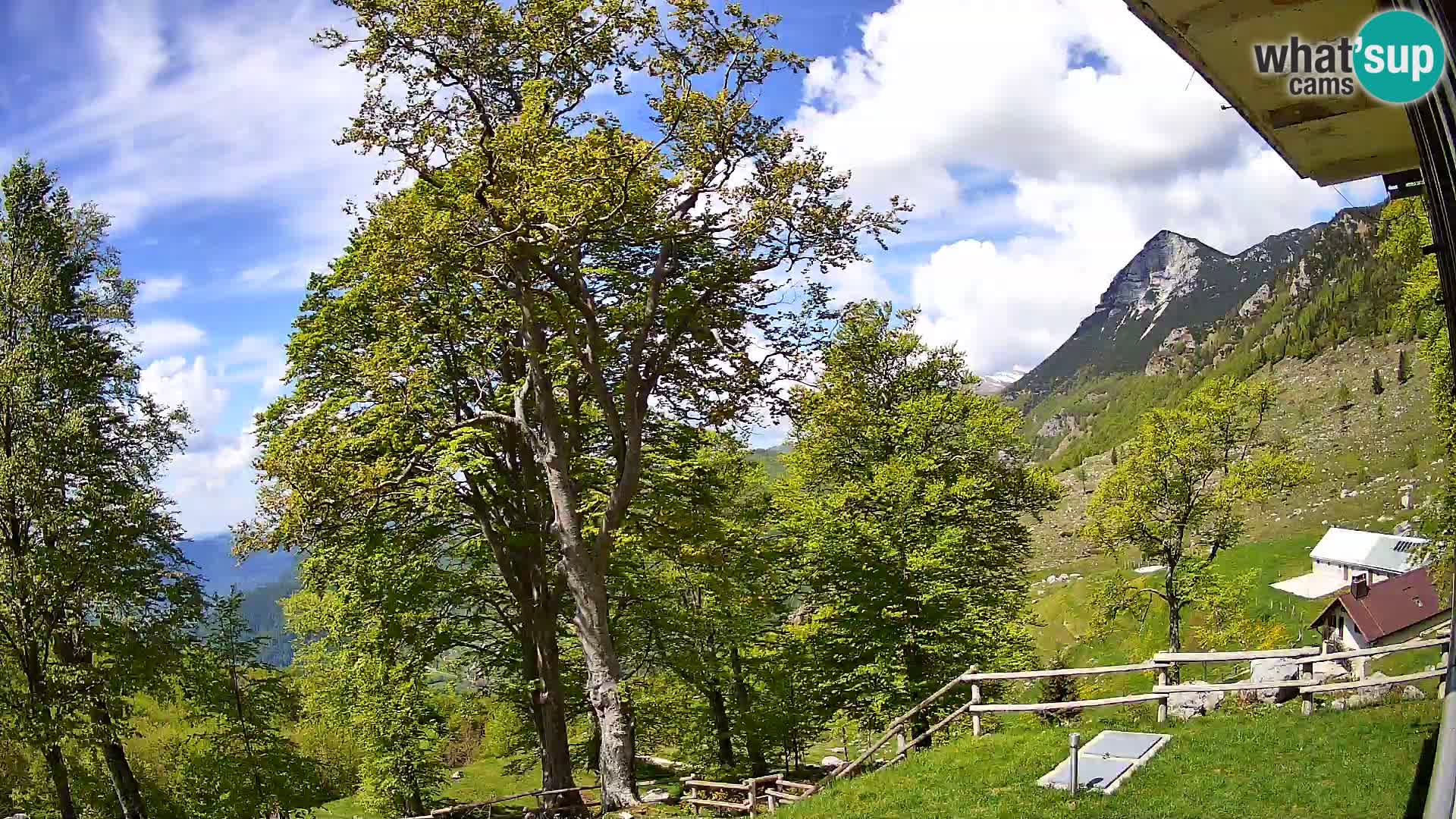 Cámara en vivo de la cabaña de montaña Planina Razor (1315) | vista hacia Tolminski Migovec