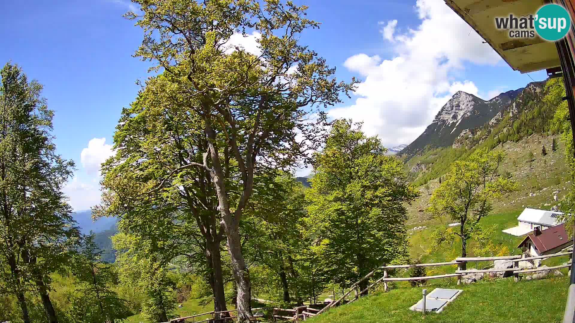 Planina Razor Mountain Hut live cam (1315) | view to Tolminski Migovec