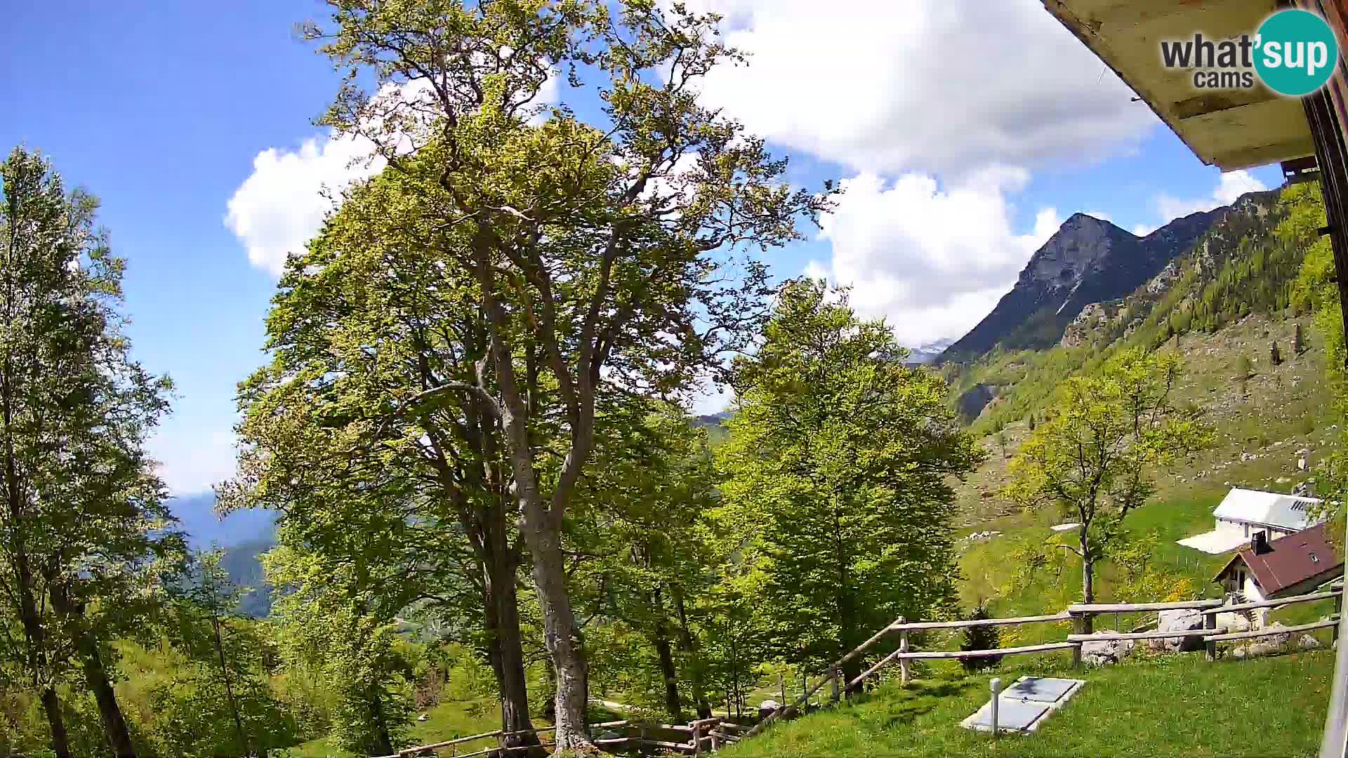 Planina Razor Mountain Hut live cam (1315) | view to Tolminski Migovec