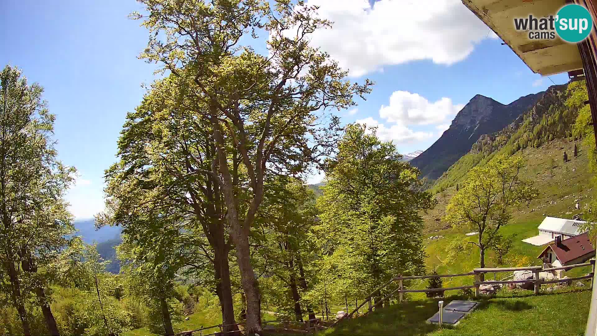 Planina Razor Bergütte Webcam (1315) | Blick auf Tolminski Migovec