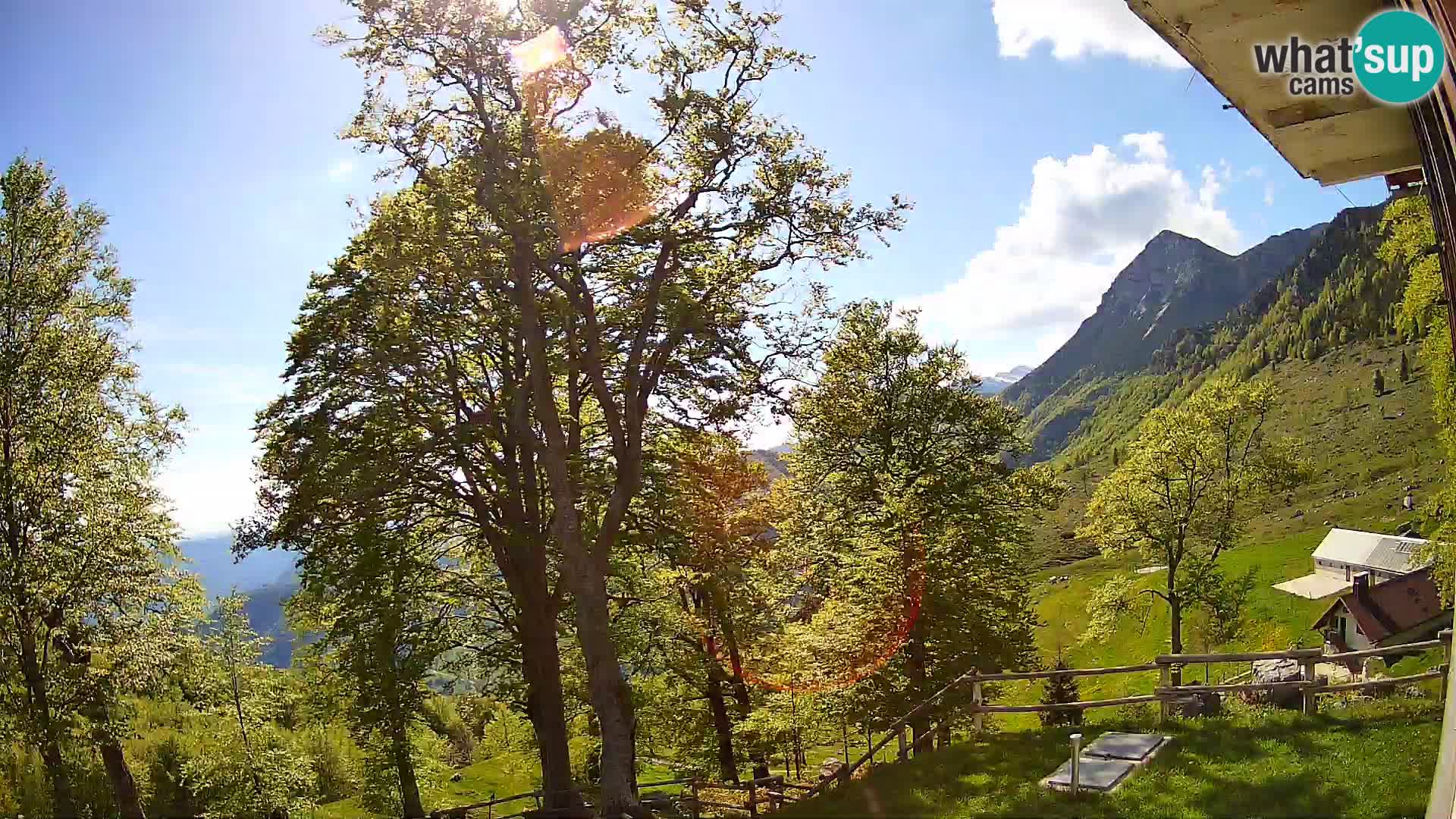 Planina Razor Bergütte Webcam (1315) | Blick auf Tolminski Migovec