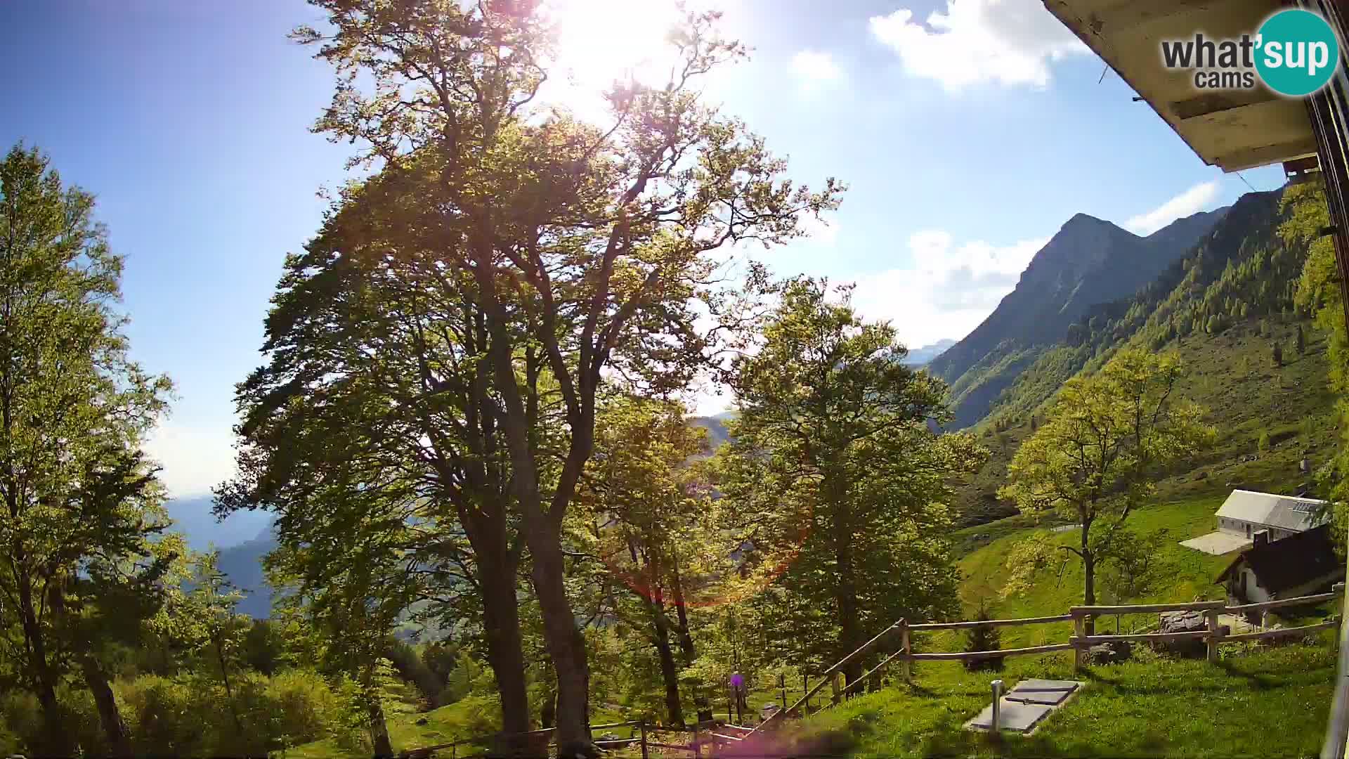 Planina Razor Bergütte Webcam (1315) | Blick auf Tolminski Migovec