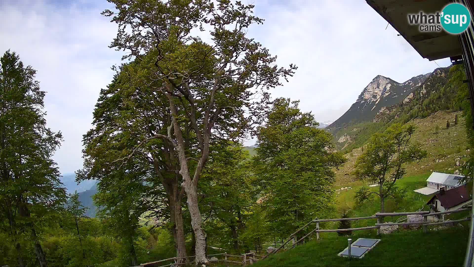 Planina Razor Mountain Hut live cam (1315) | view to Tolminski Migovec