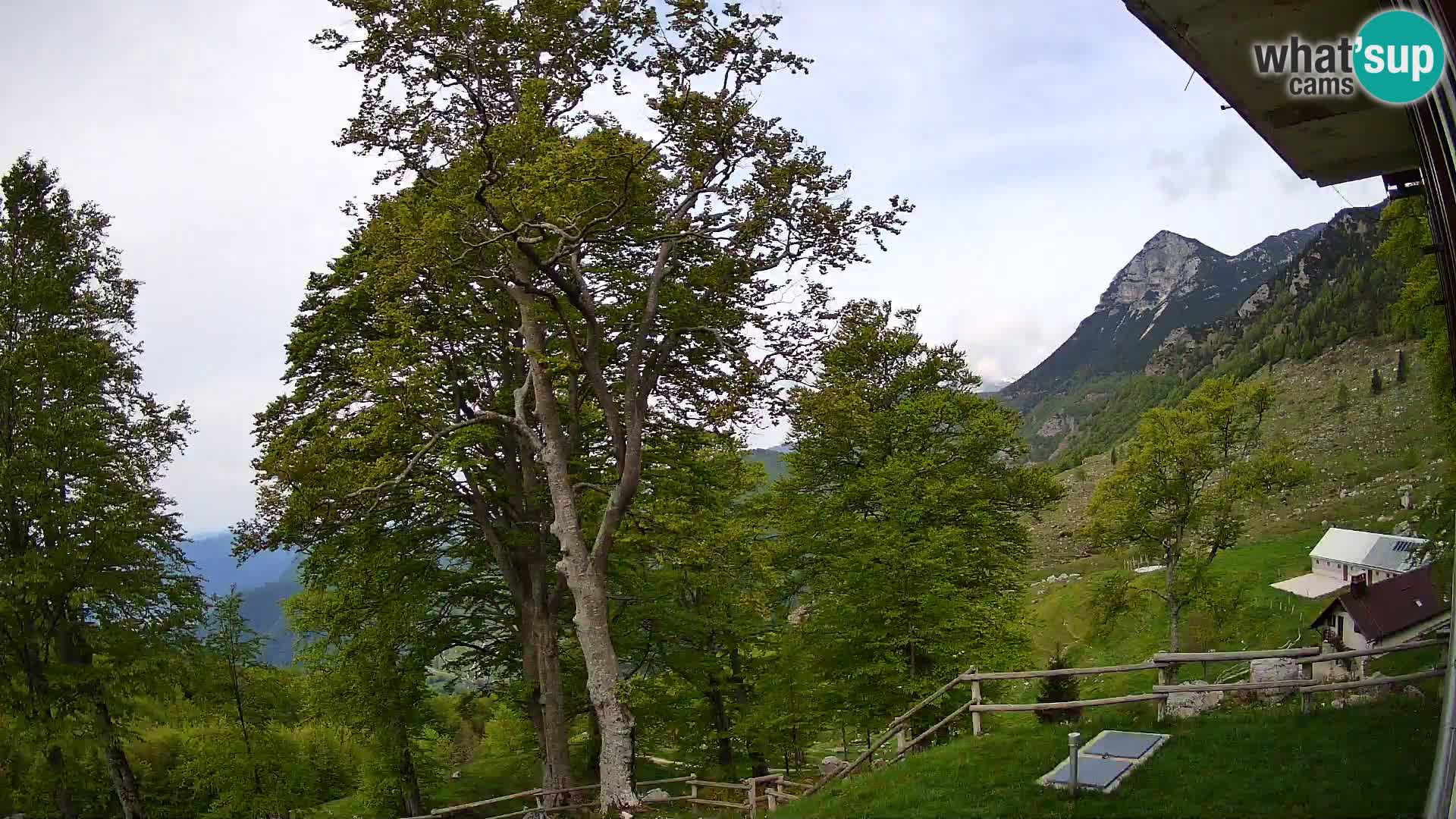 Planina Razor Mountain Hut live cam (1315) | view to Tolminski Migovec