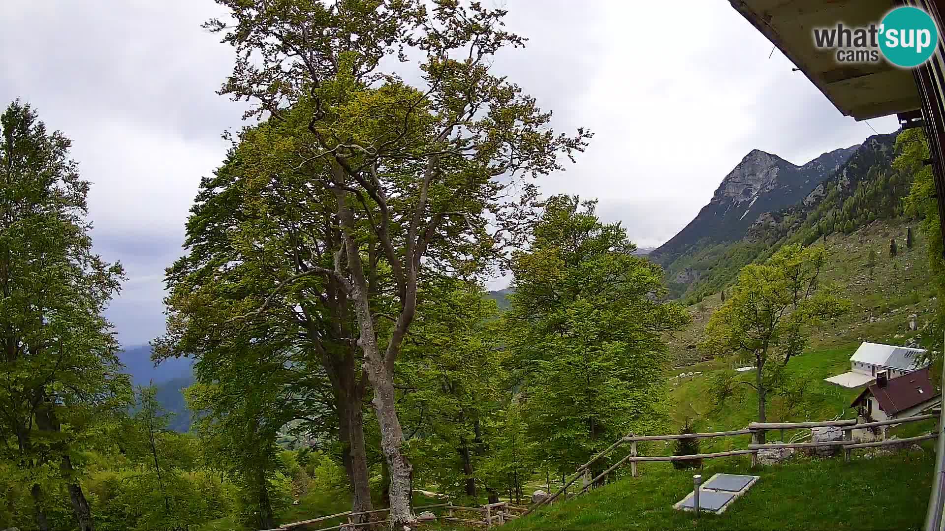 Planina Razor Bergütte Webcam (1315) | Blick auf Tolminski Migovec