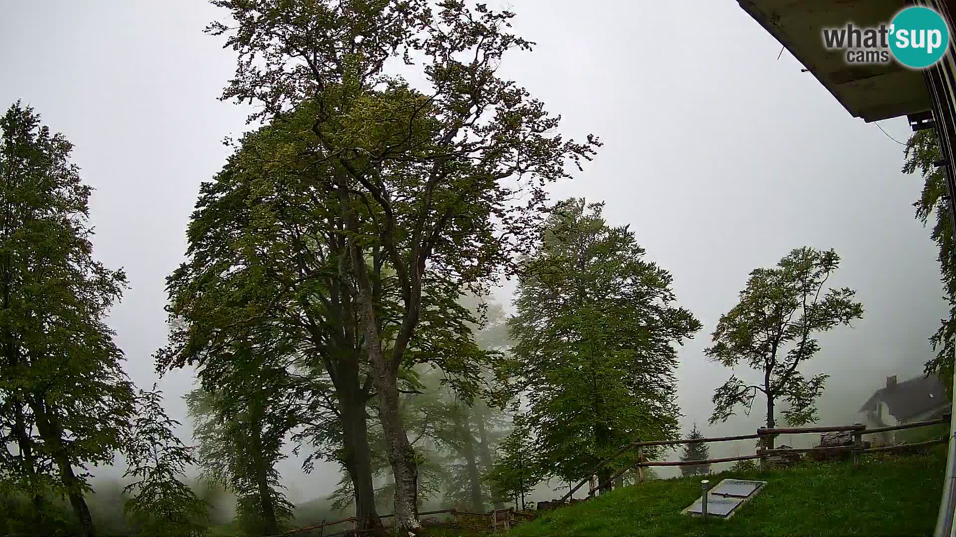 Planina Razor Bergütte Webcam (1315) | Blick auf Tolminski Migovec