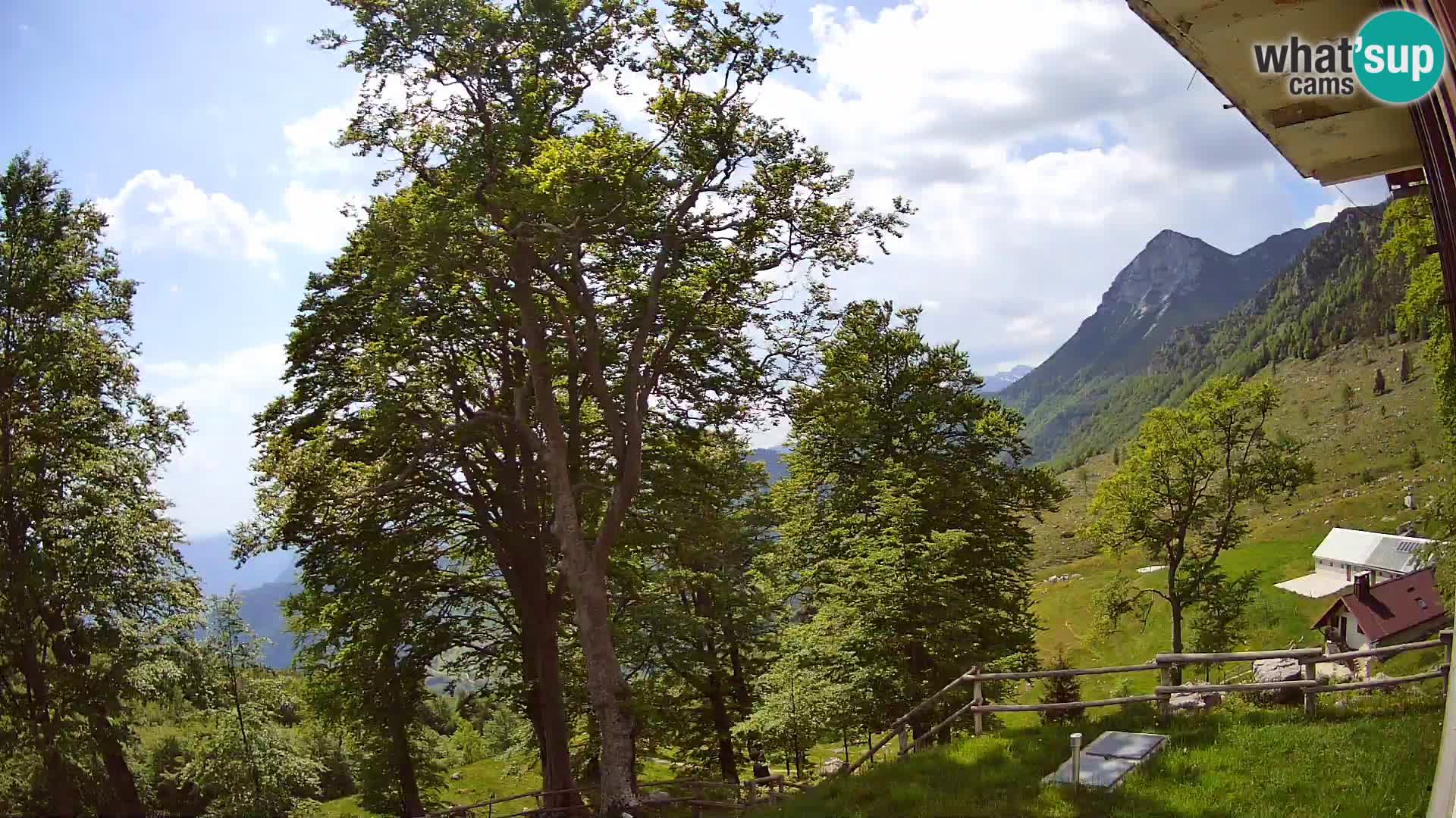 Planina Razor Mountain Hut live cam (1315) | view to Tolminski Migovec