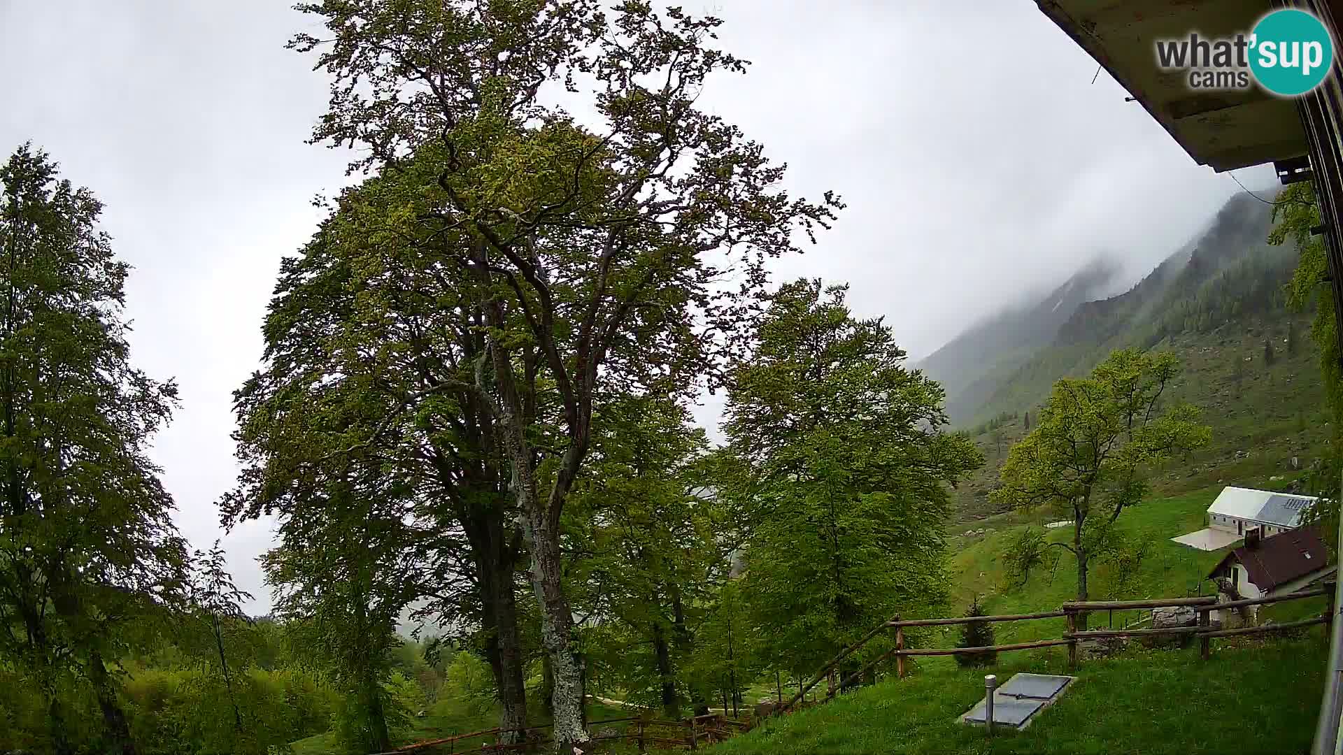 Planina Razor Mountain Hut live cam (1315) | view to Tolminski Migovec