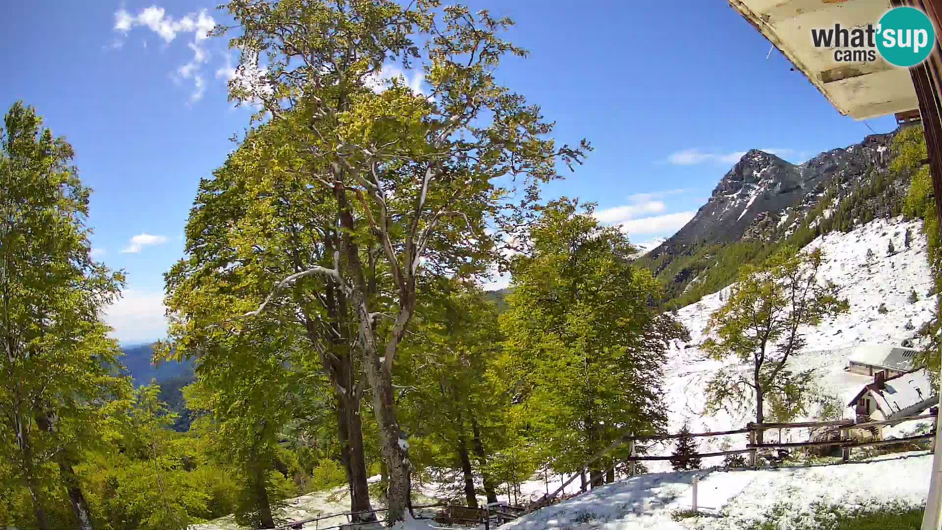 Planina Razor Mountain Hut live cam (1315) | view to Tolminski Migovec