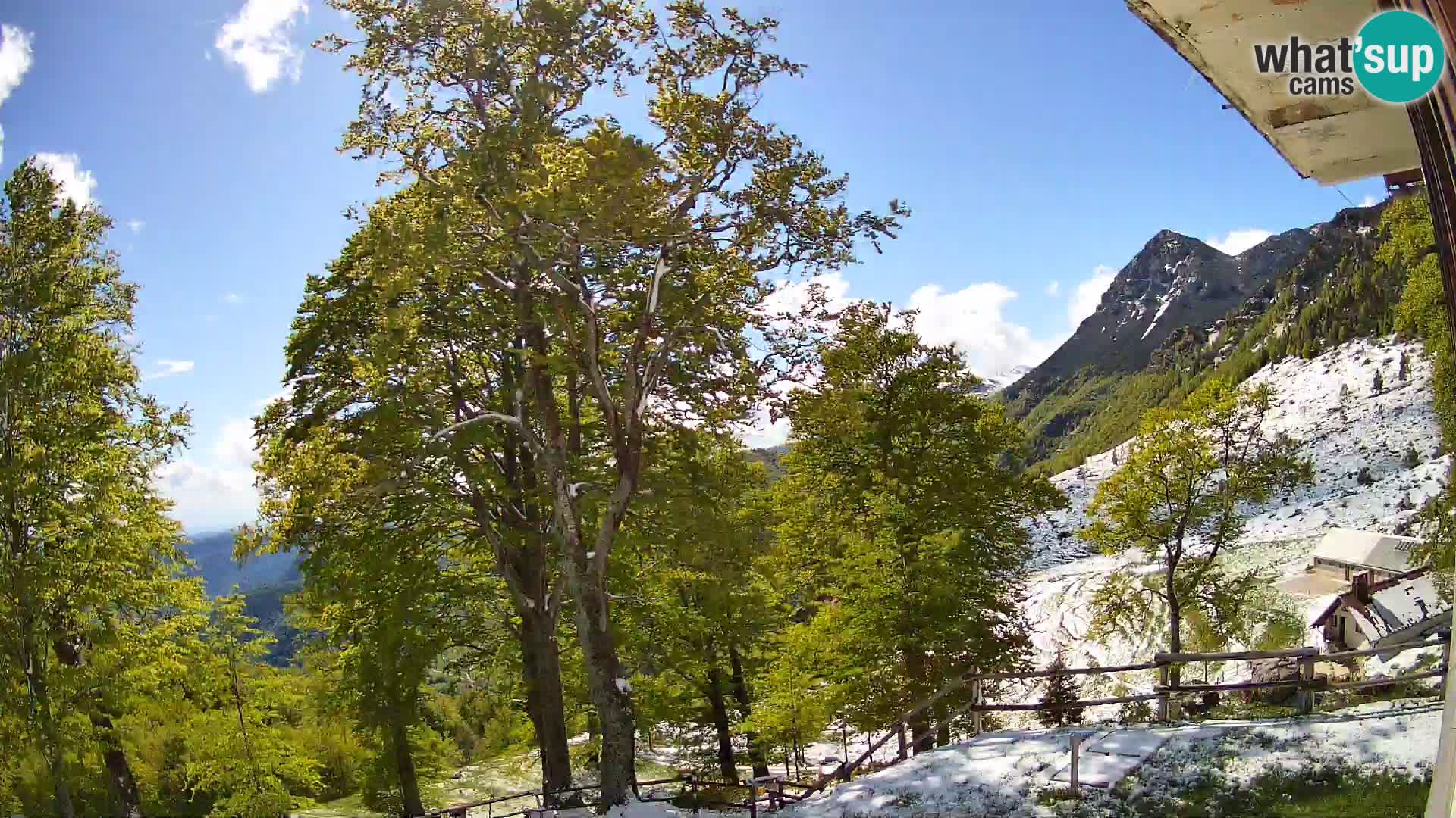 Planina Razor Bergütte Webcam (1315) | Blick auf Tolminski Migovec