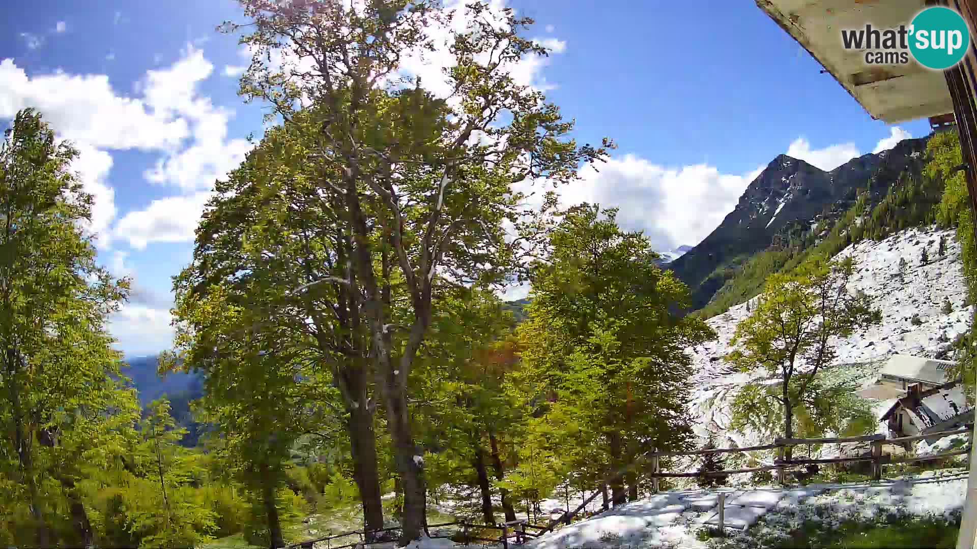 Planina Razor Mountain Hut live cam (1315) | view to Tolminski Migovec