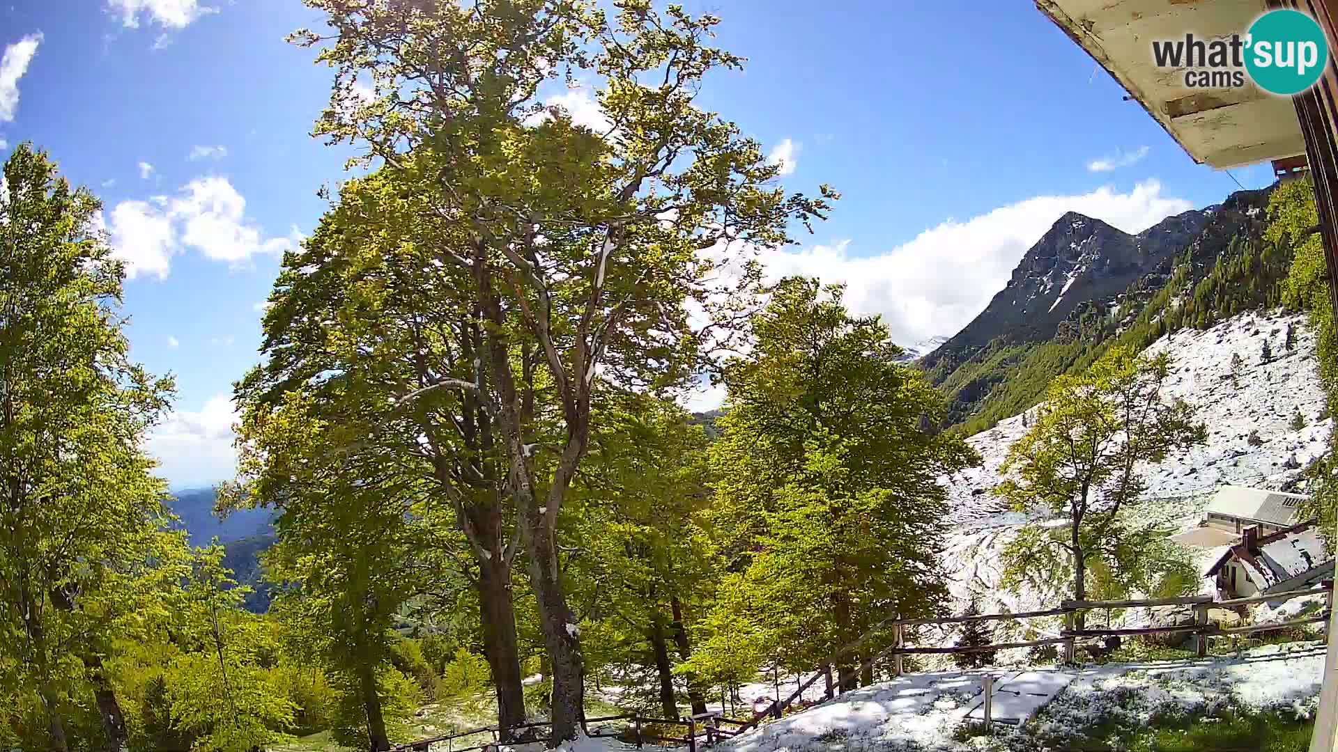 Planina Razor Mountain Hut live cam (1315) | view to Tolminski Migovec