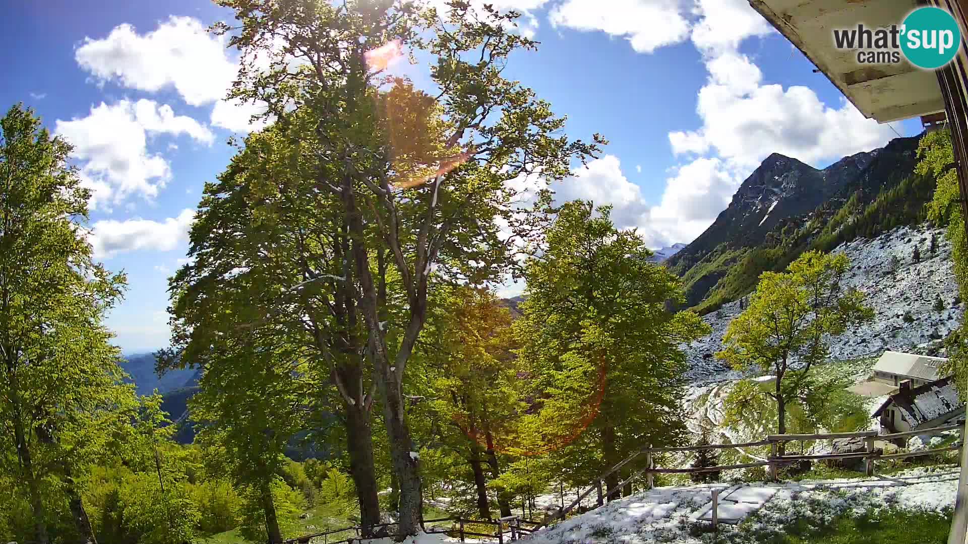 Planina Razor Bergütte Webcam (1315) | Blick auf Tolminski Migovec