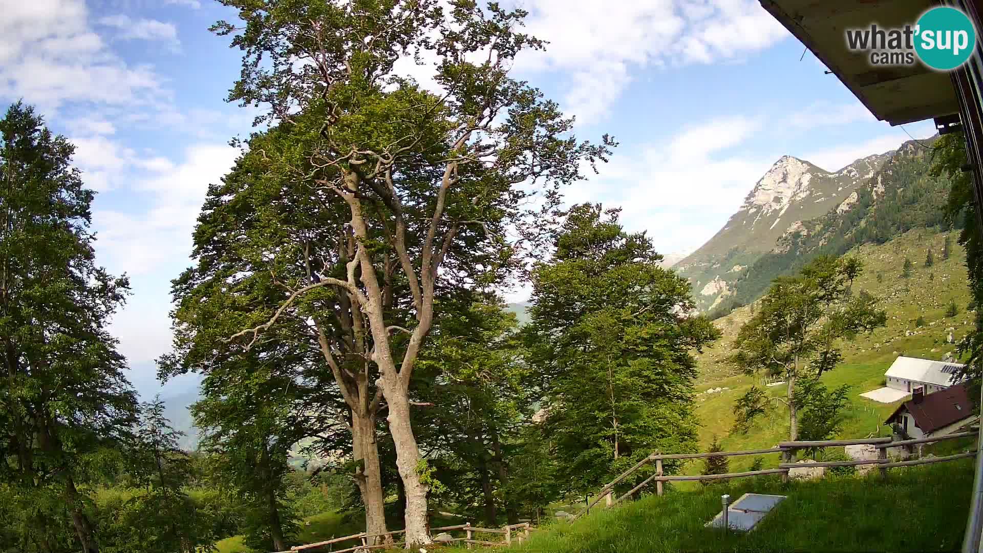 Baita di montagna Planina Razor webcam (1315) | vista su Tolminski Migovec