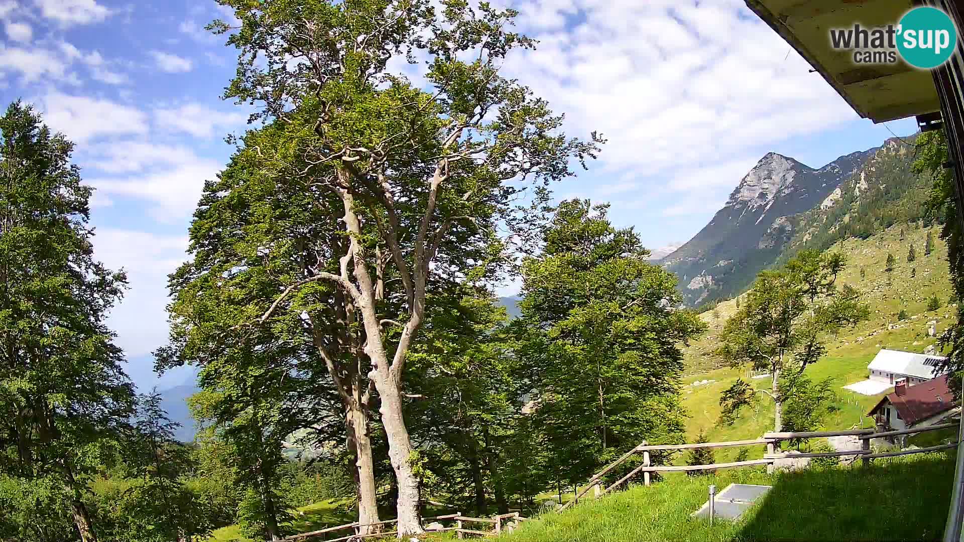 Cámara en vivo de la cabaña de montaña Planina Razor (1315) | vista hacia Tolminski Migovec