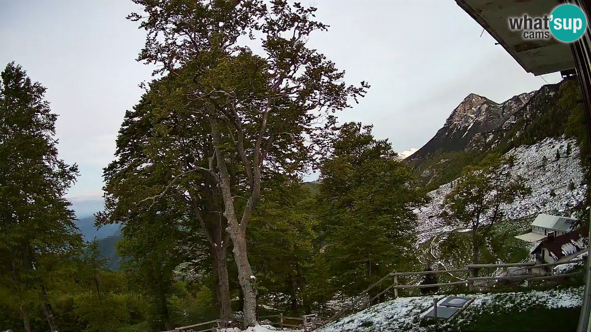 Refuge de la montagne Planina Razor caméra en direct (1315) | vue sur Tolminski Migovec
