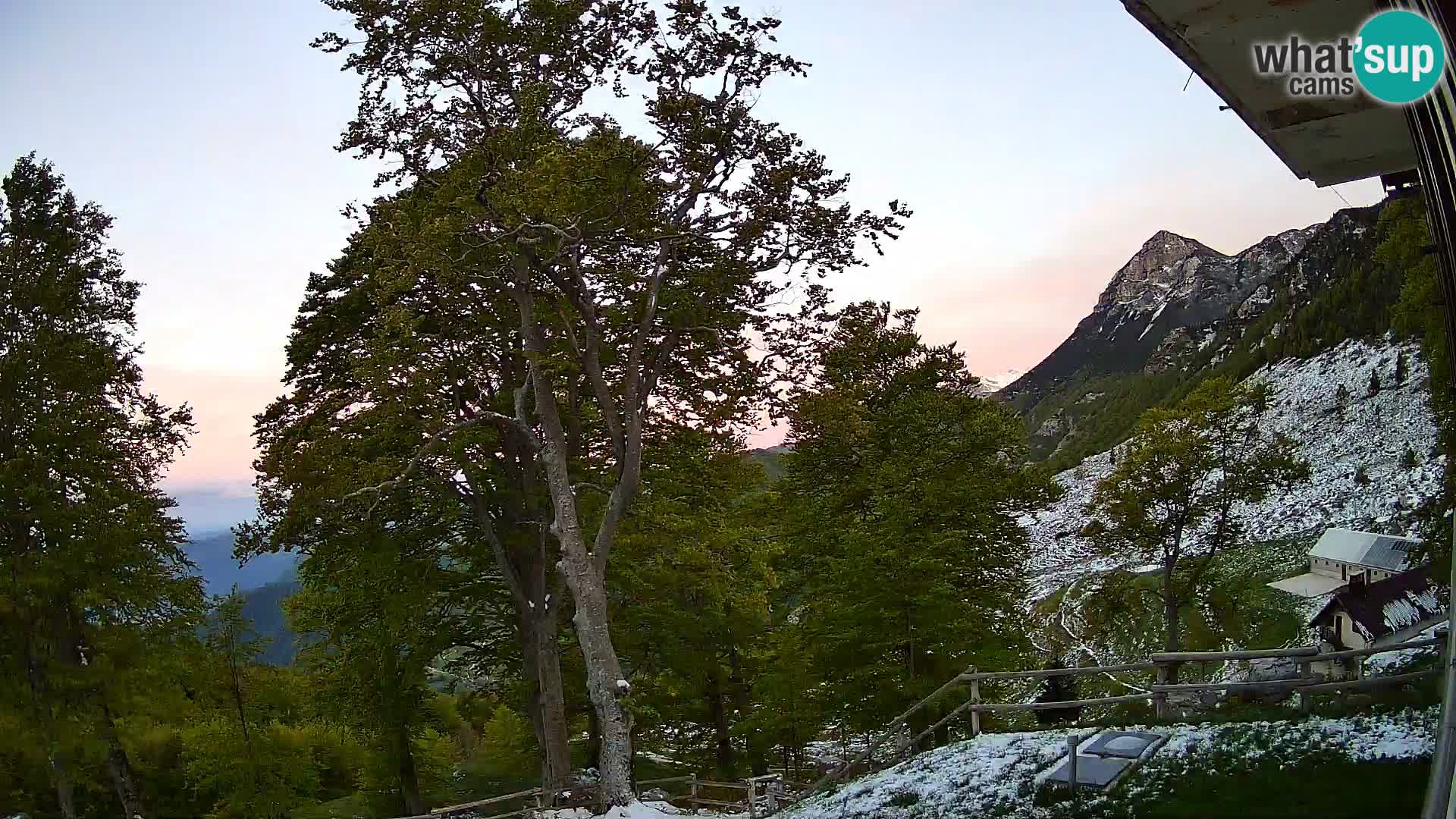 Planina Razor Bergütte Webcam (1315) | Blick auf Tolminski Migovec