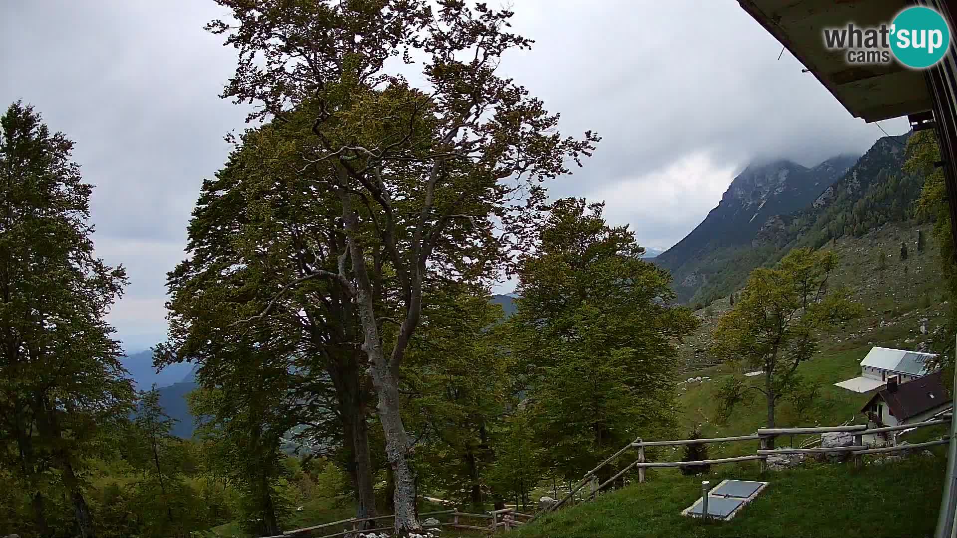 Planina Razor Bergütte Webcam (1315) | Blick auf Tolminski Migovec