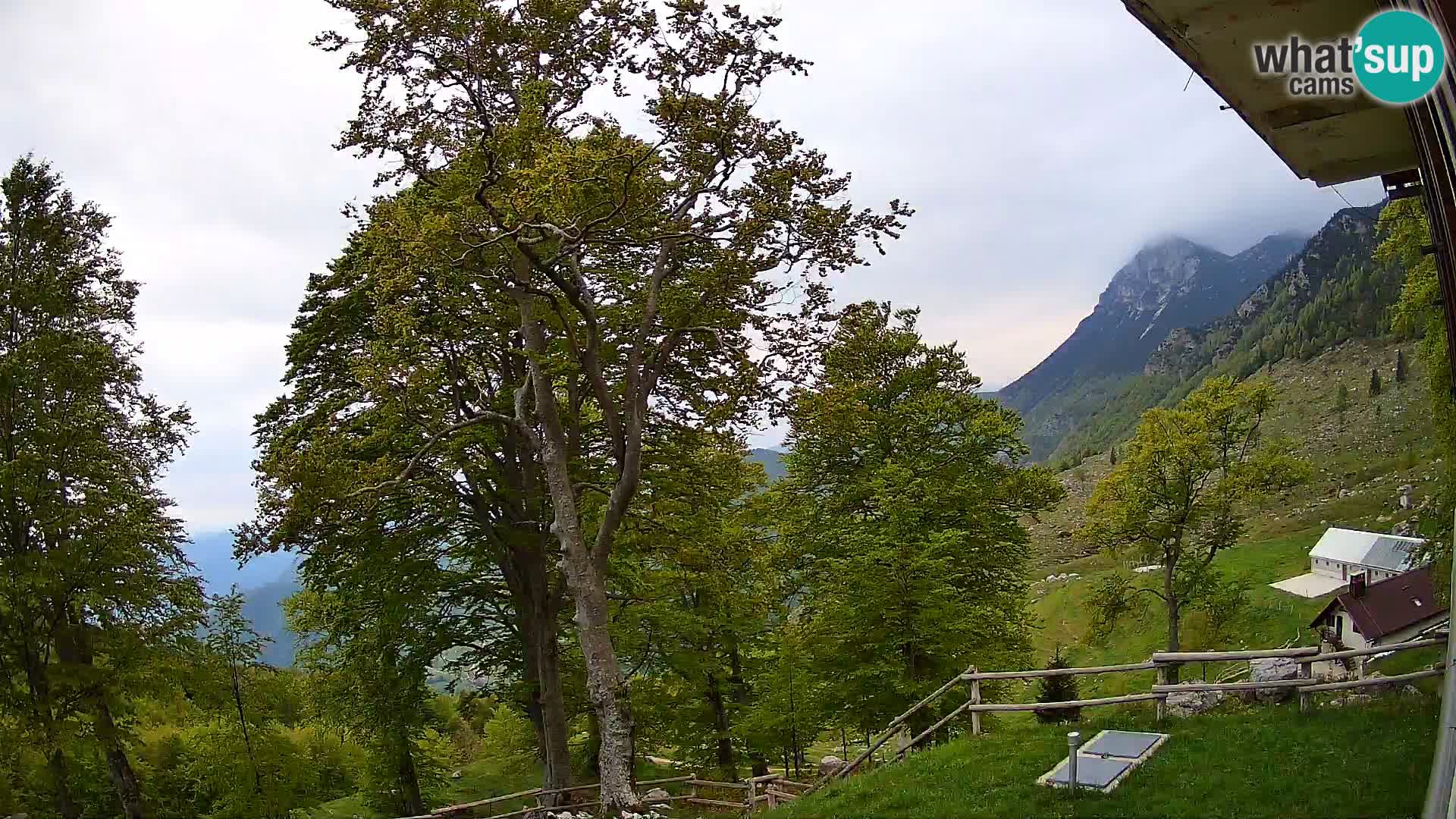 Planina Razor Bergütte Webcam (1315) | Blick auf Tolminski Migovec