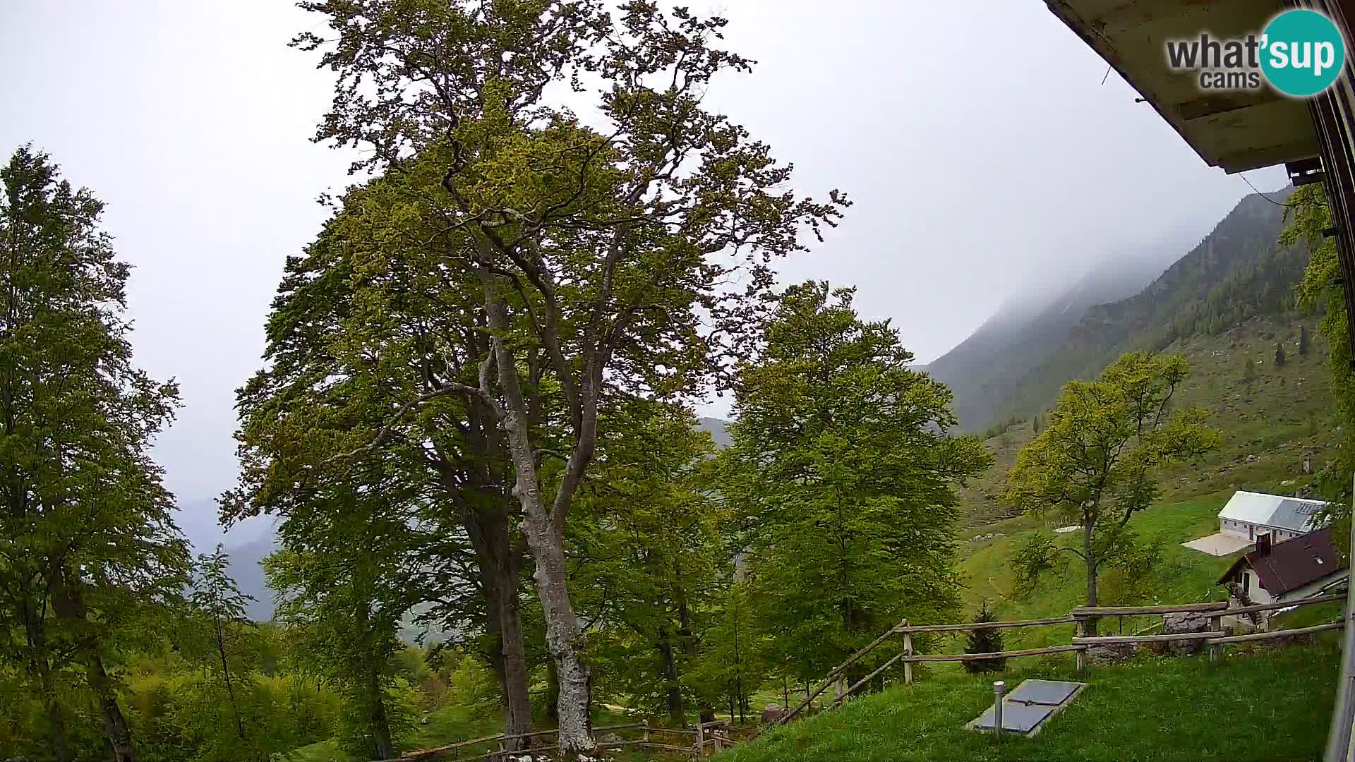 Refuge de la montagne Planina Razor caméra en direct (1315) | vue sur Tolminski Migovec