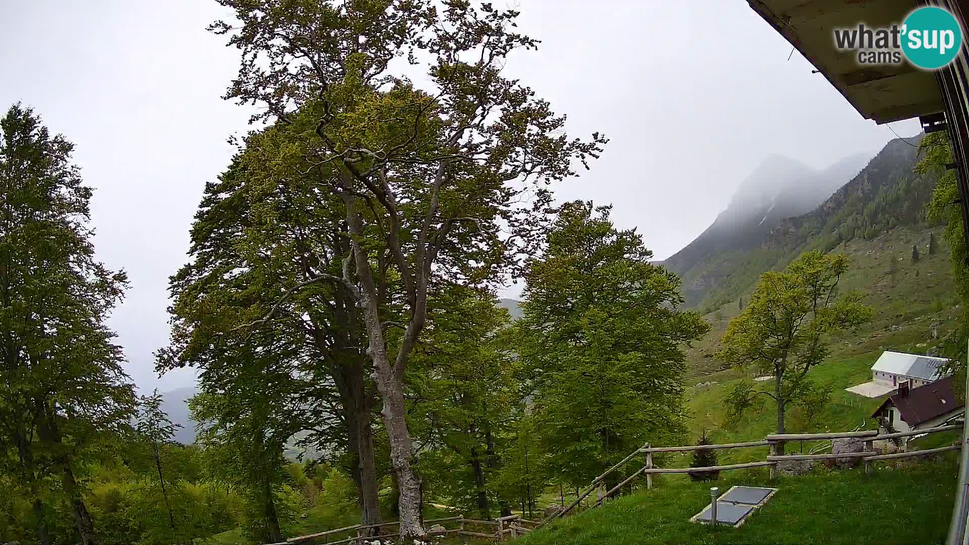 Refuge de la montagne Planina Razor caméra en direct (1315) | vue sur Tolminski Migovec