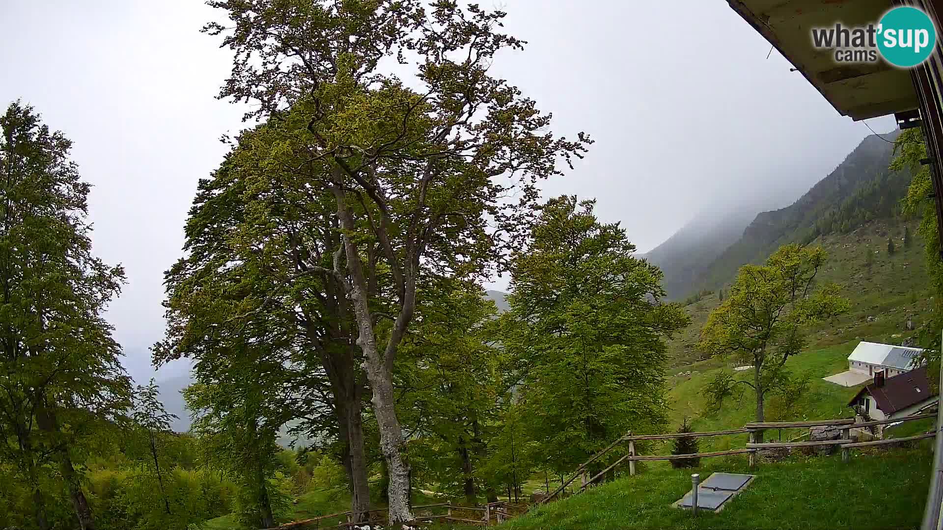 Cámara en vivo de la cabaña de montaña Planina Razor (1315) | vista hacia Tolminski Migovec