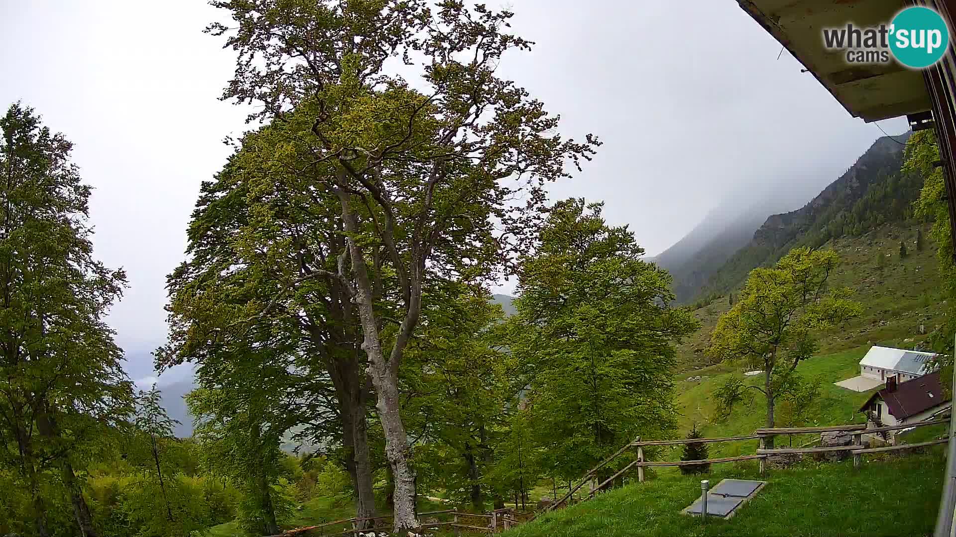 Planina Razor Bergütte Webcam (1315) | Blick auf Tolminski Migovec
