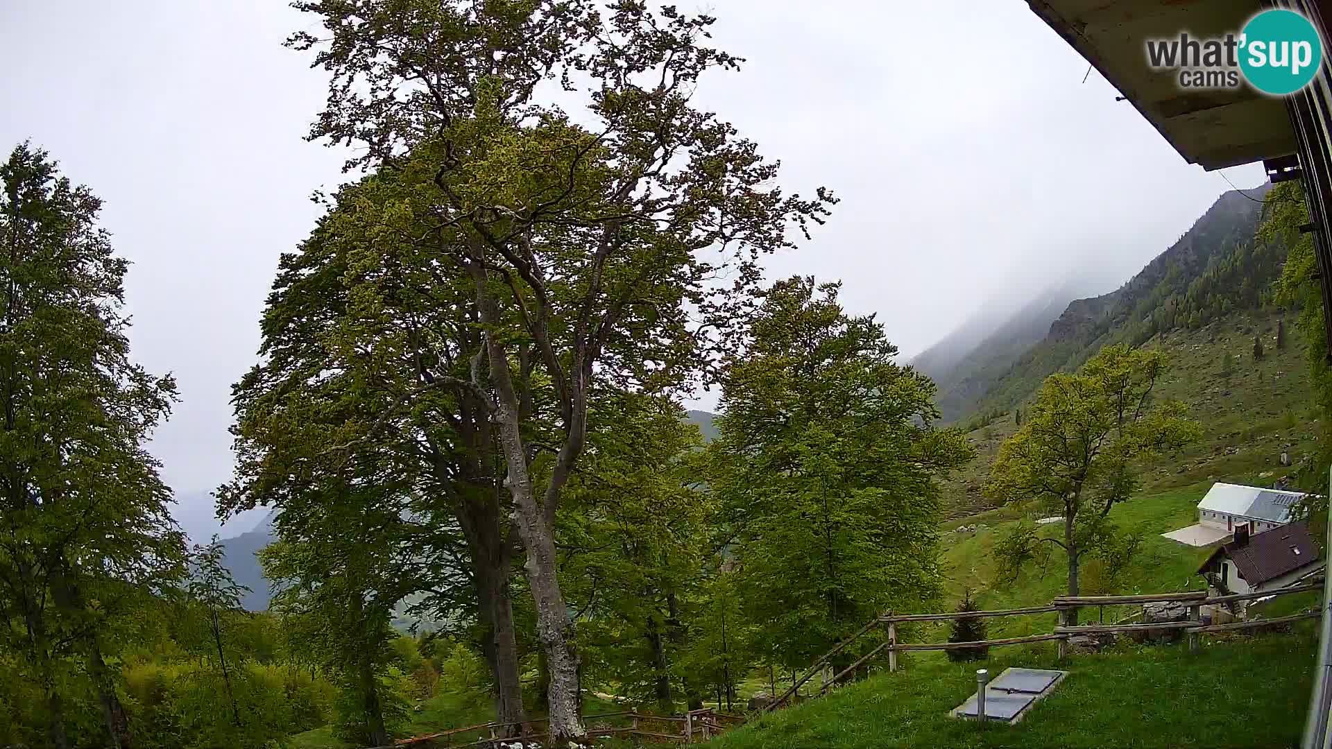 Refuge de la montagne Planina Razor caméra en direct (1315) | vue sur Tolminski Migovec