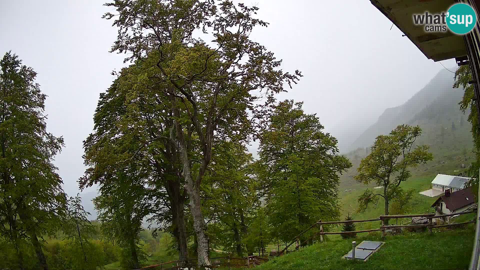 Planina Razor Bergütte Webcam (1315) | Blick auf Tolminski Migovec