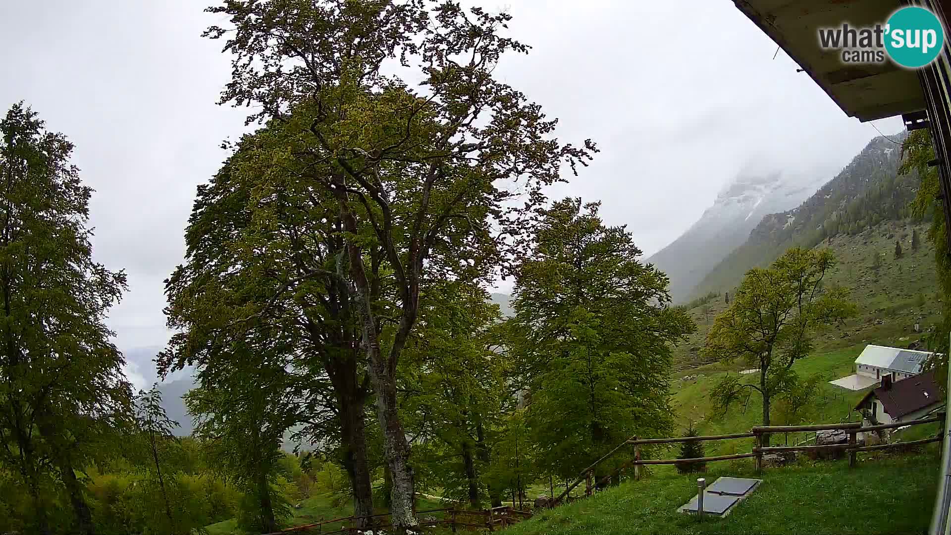 Planina Razor Mountain Hut live cam (1315) | view to Tolminski Migovec