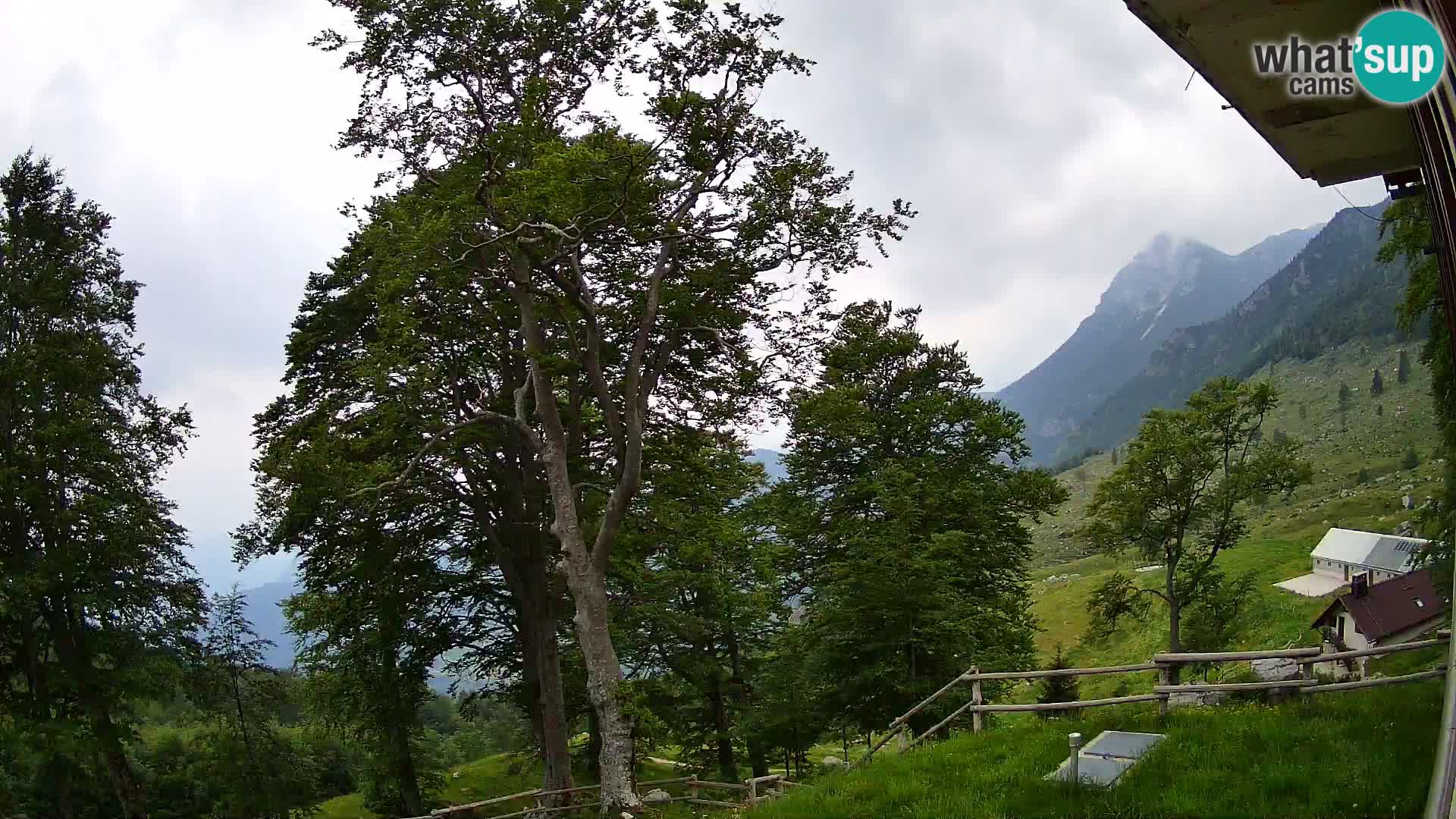 Planina Razor Bergütte Webcam (1315) | Blick auf Tolminski Migovec