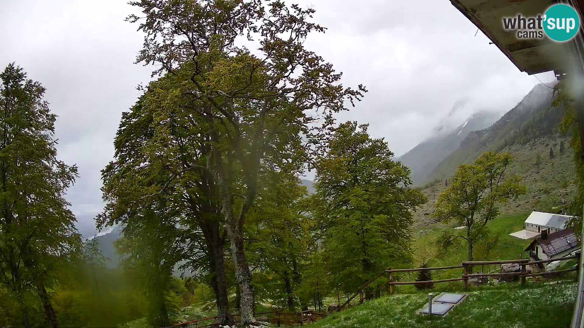 Planina Razor Mountain Hut live cam (1315) | view to Tolminski Migovec