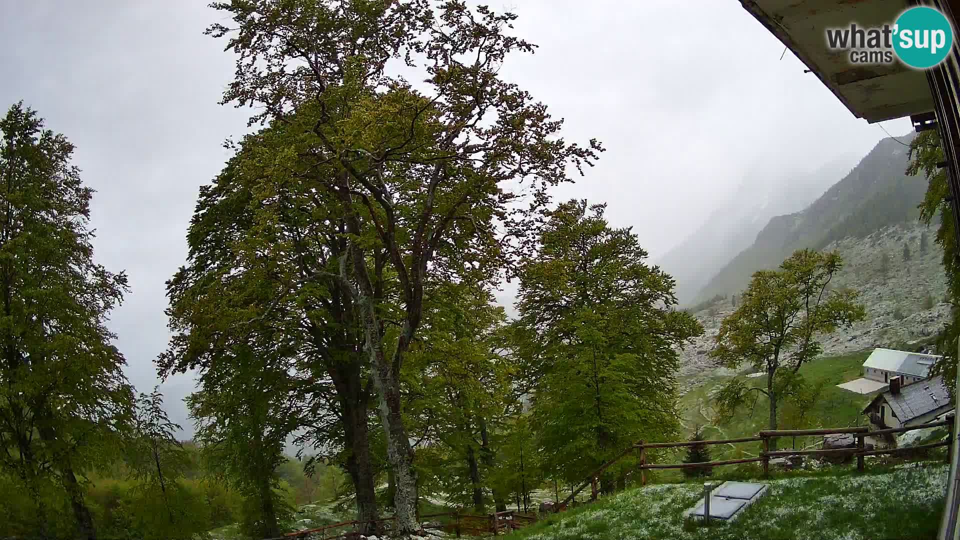 Baita di montagna Planina Razor webcam (1315) | vista su Tolminski Migovec