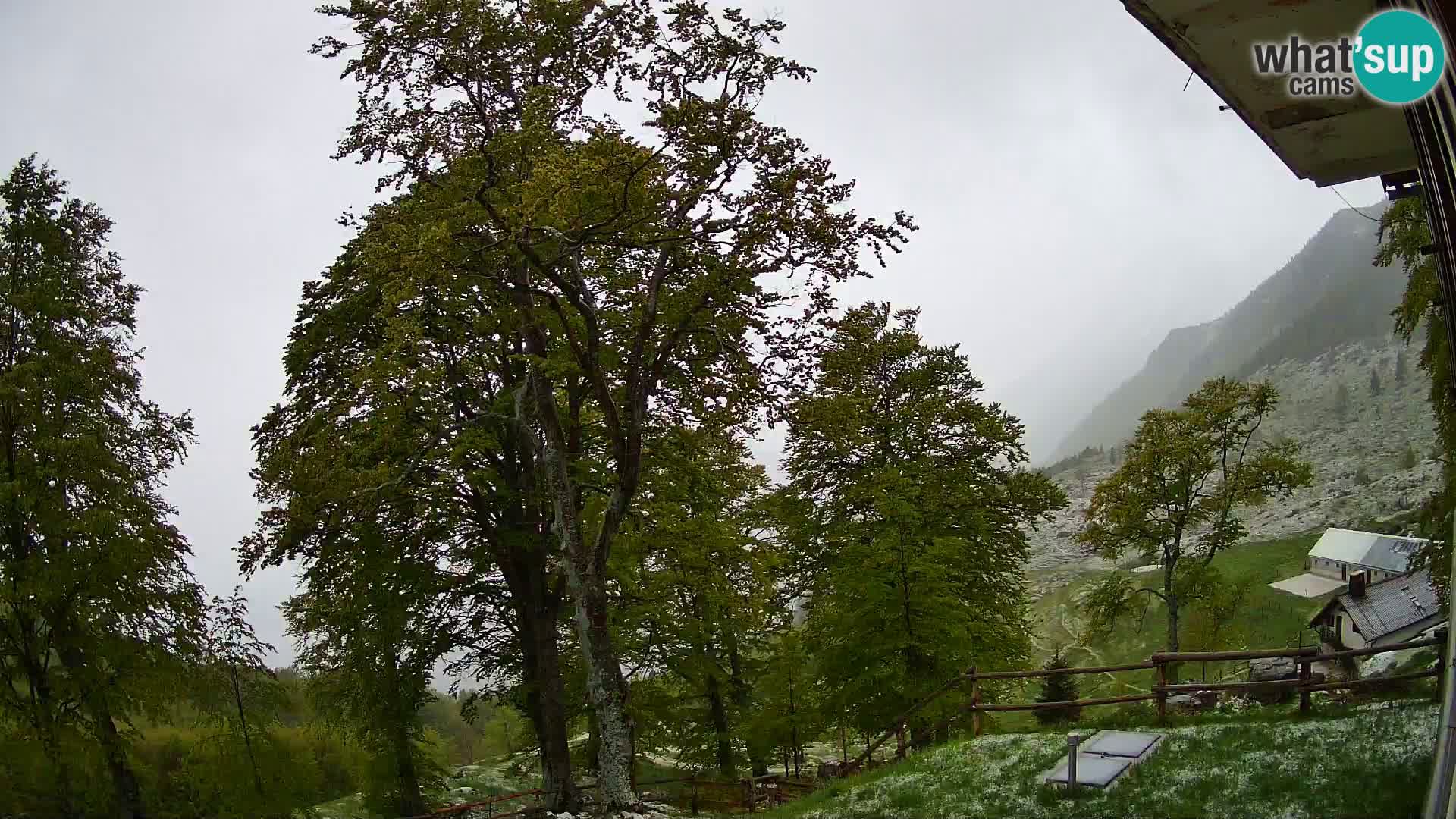 Planina Razor Mountain Hut live cam (1315) | view to Tolminski Migovec
