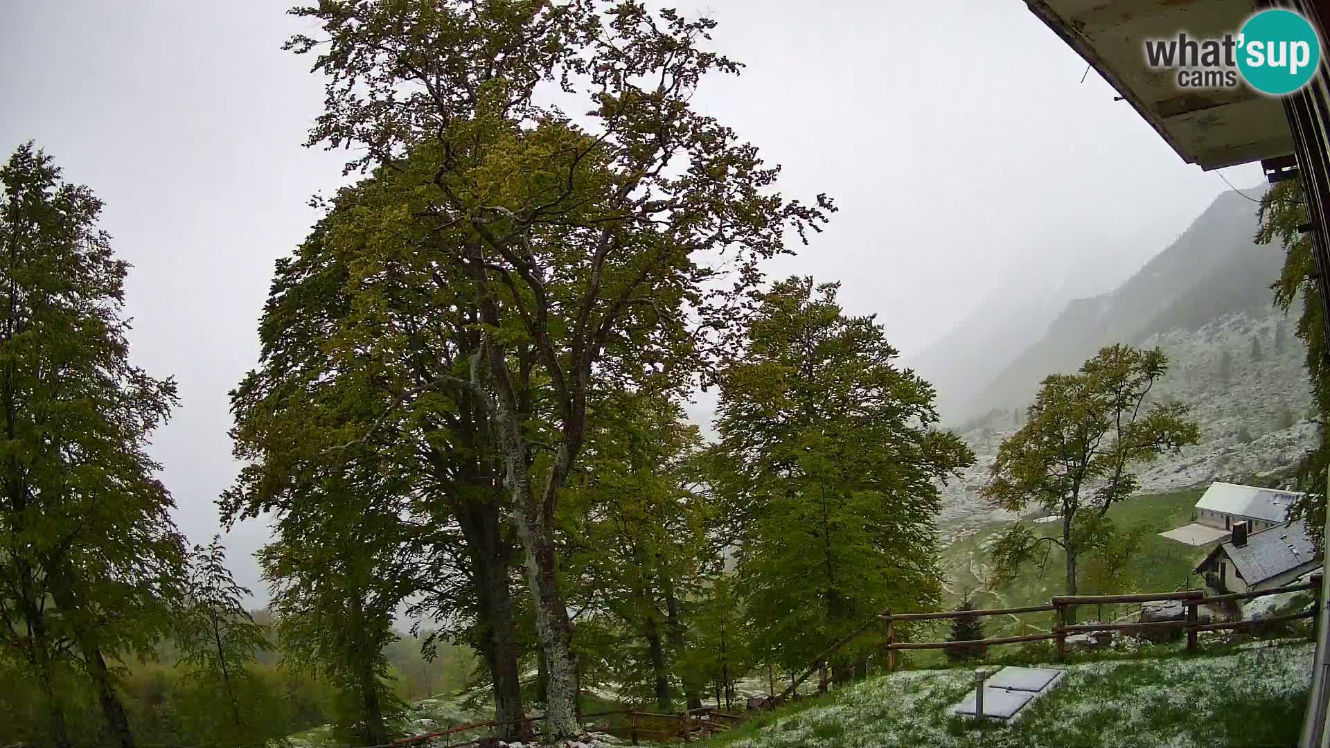 Planina Razor Mountain Hut live cam (1315) | view to Tolminski Migovec