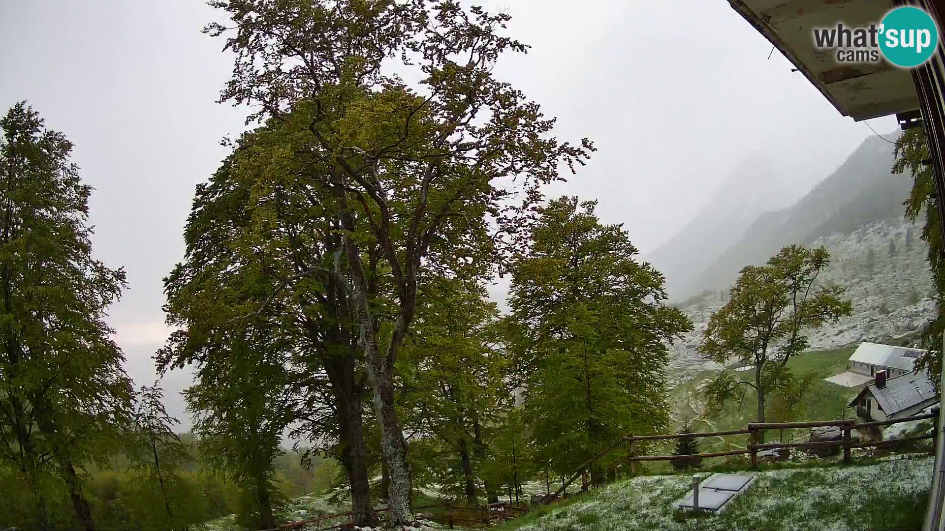 Planina Razor Mountain Hut live cam (1315) | view to Tolminski Migovec